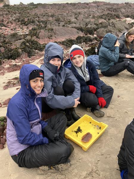 Year 13 Biology students explore the coast